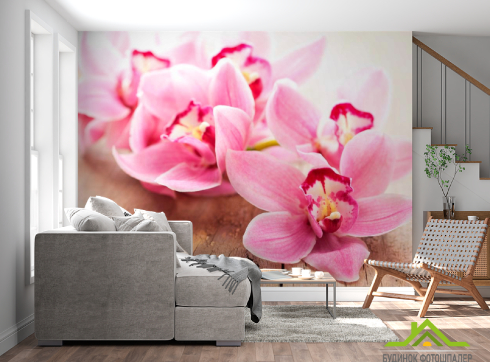 выбрать Фотообои Орхидея Фотообои Орхидеи на стену