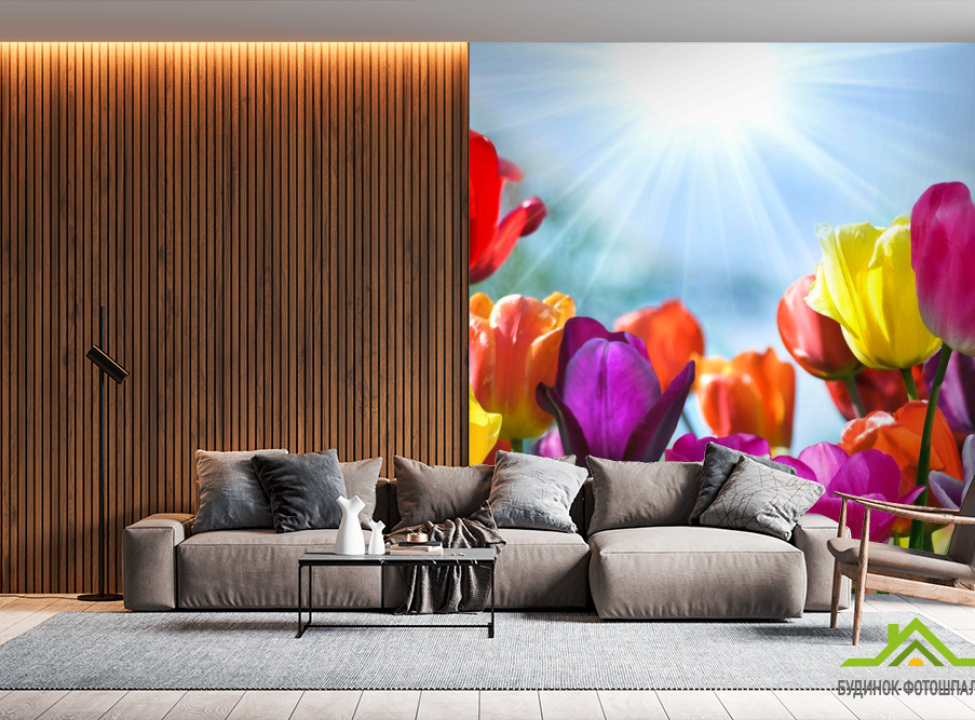 выбрать Фотообои Разноцветные тюльпаны Фотообои Тюльпаны на стену