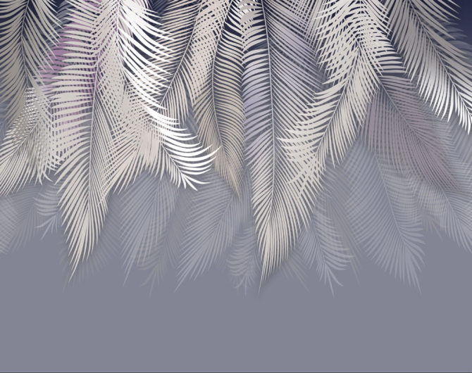 Фотошпалери пухнасті пальмове листя на стіну