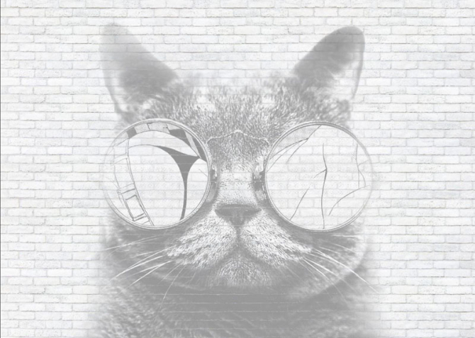 Фотошпалери Кіт в окулярах лофт
