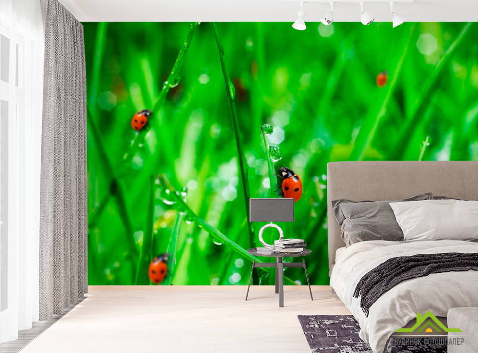 выбрать Фотошпалери Трава,божа корівка Фотошпалери Природа на стіну