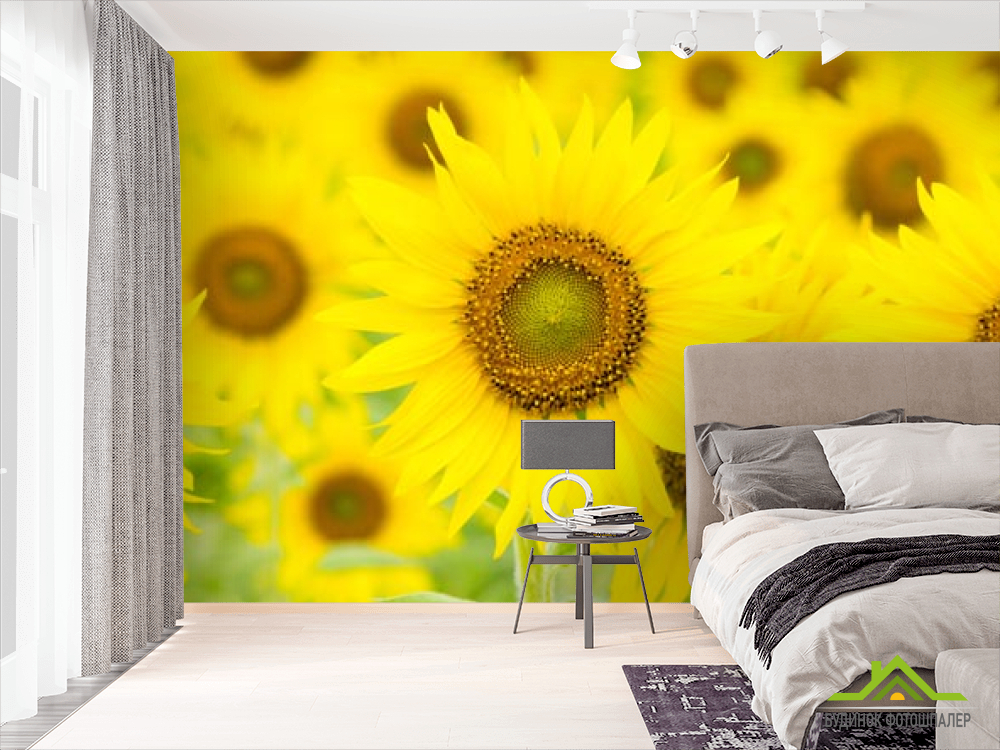 Фотообои крупные подсолнухи
