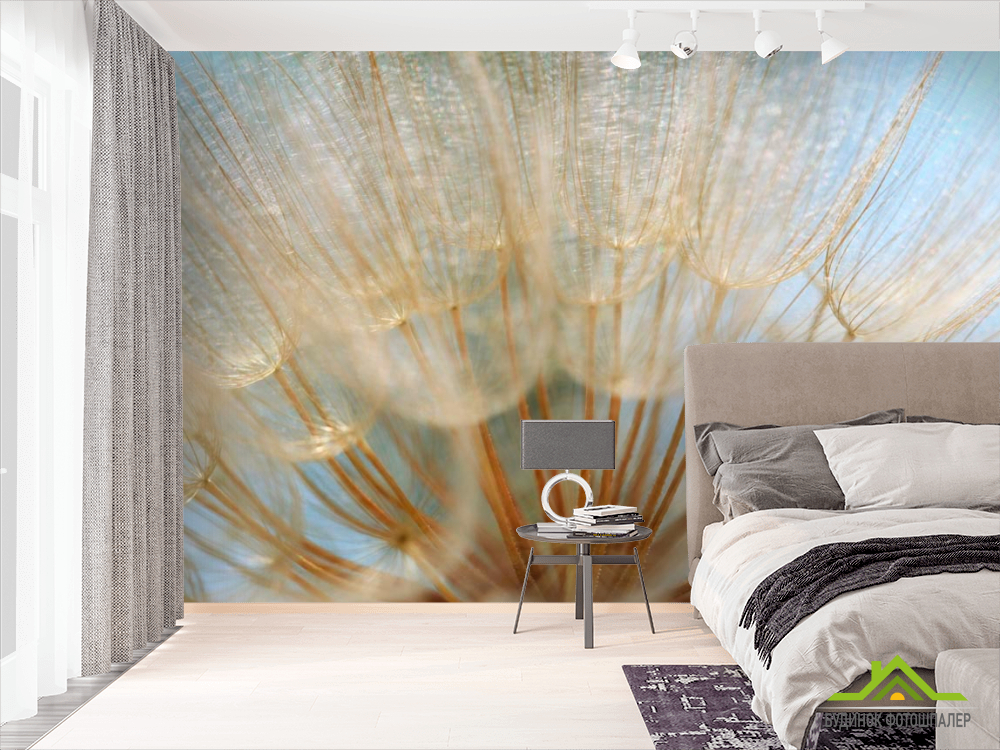 Фотообои Макро-сьемка одуванчик