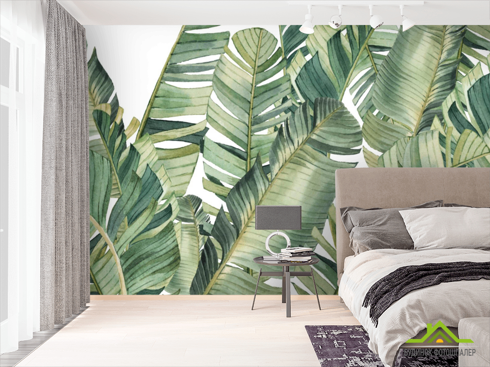 Фотошпалери Бананові листя
