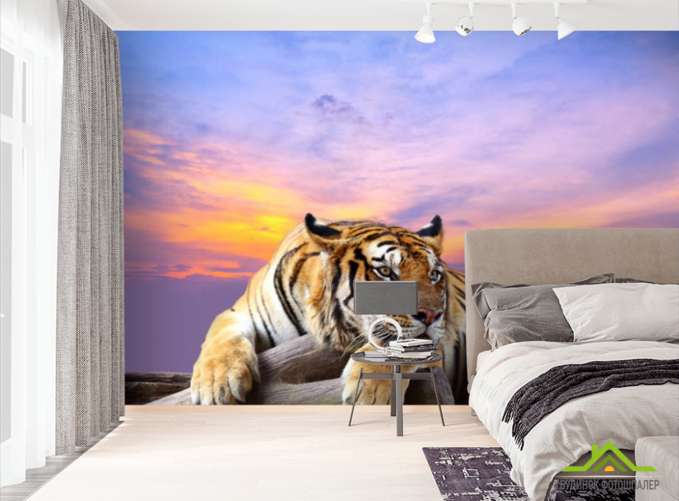 выбрать Фотообои тигр Фотообои разные на стену