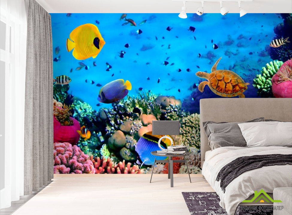 выбрать Фотошпалери Підводний світ. Краси. Фотошпалери Риби і море на стіну