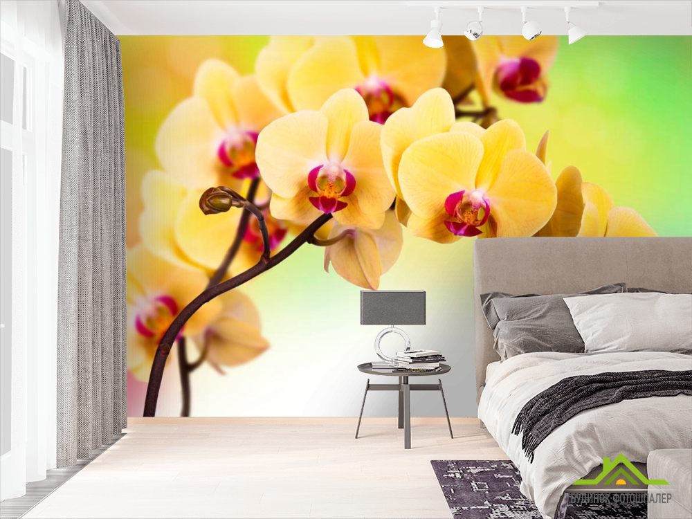 Фотошпалери Жовта орхідея