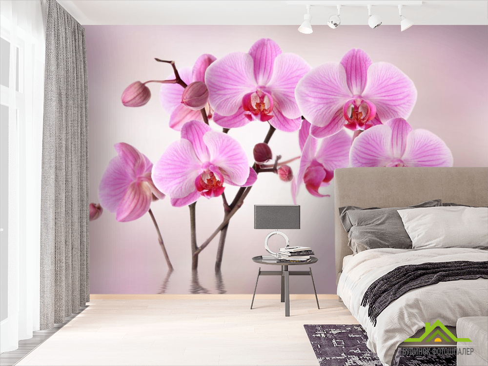Фотошпалери бузкові орхідеї з води