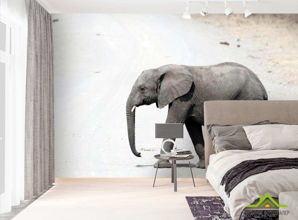 выбрать Фотошпалери Слон в пустелі Фотошпалери Слони на стіну