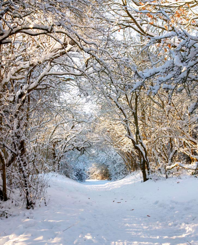 Фотошпалери Прийшла зима