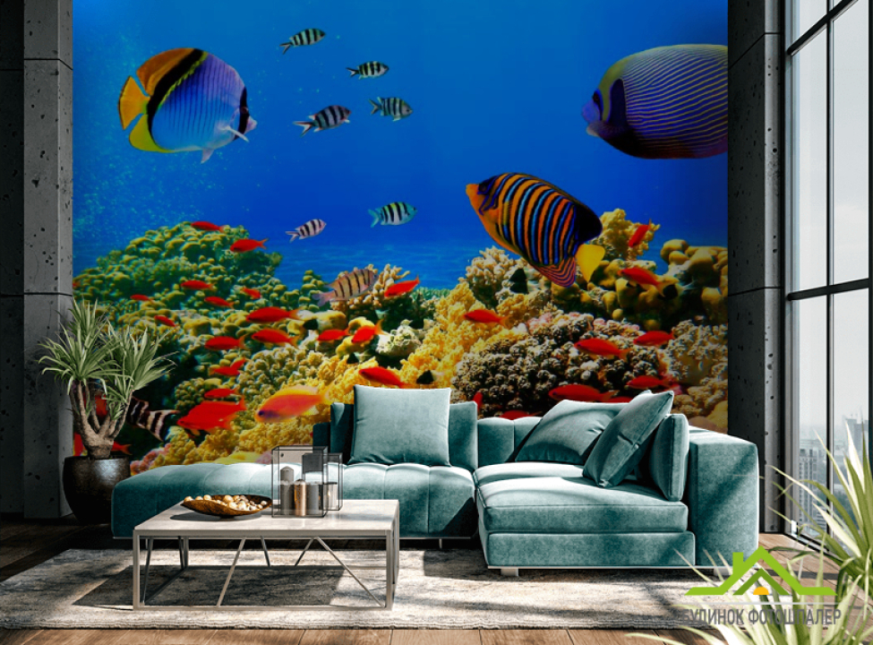 выбрать Фотошпалери Рибки на дні морському Фотошпалери Море на стіну