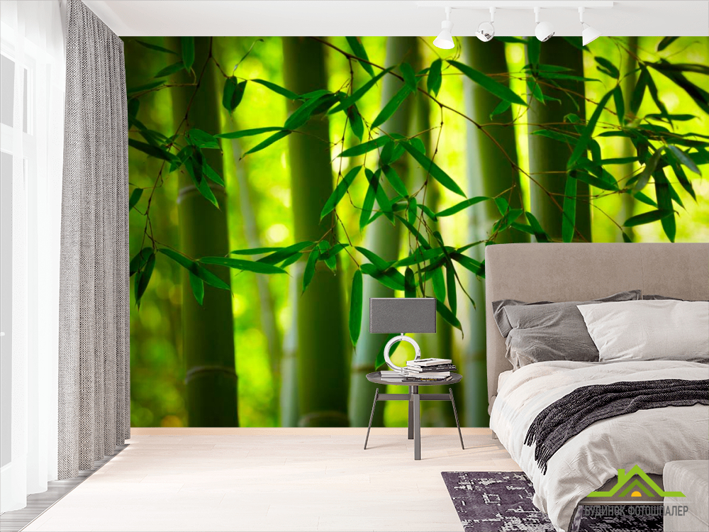 Фотошпалери Бамбук та листочки
