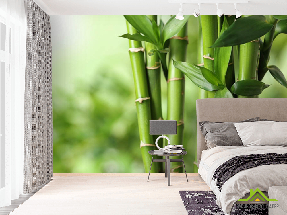 Фотошпалери бамбук