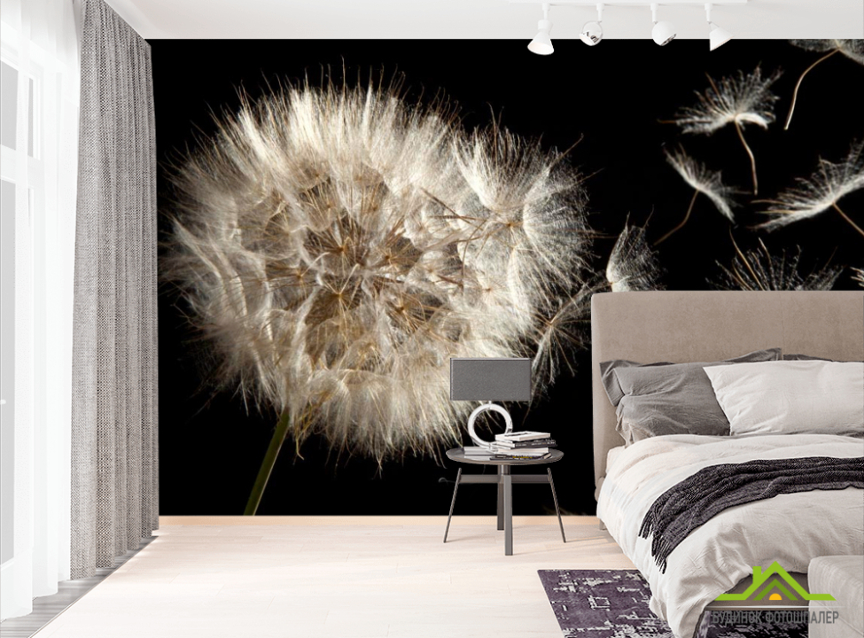 выбрать Фотообои Пух одуванчика летит Фотообои Одуванчики на стену