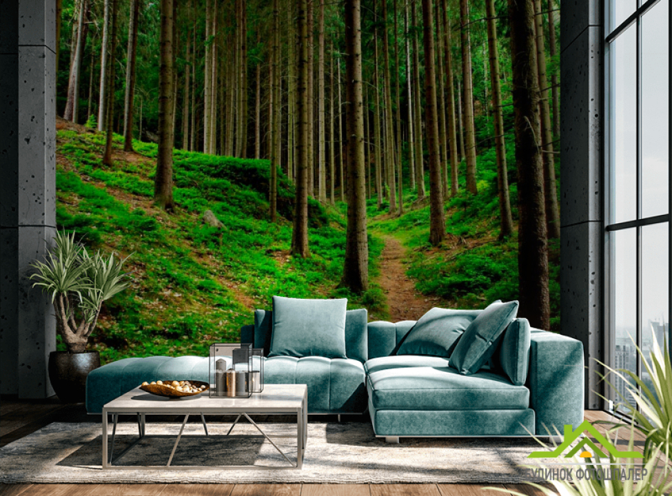 выбрать Фотообои Тропинки, ёлки Фотообои лес на стену
