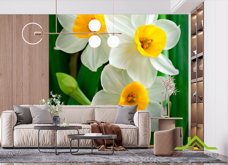 Фотообои Нарциссы обынковенные