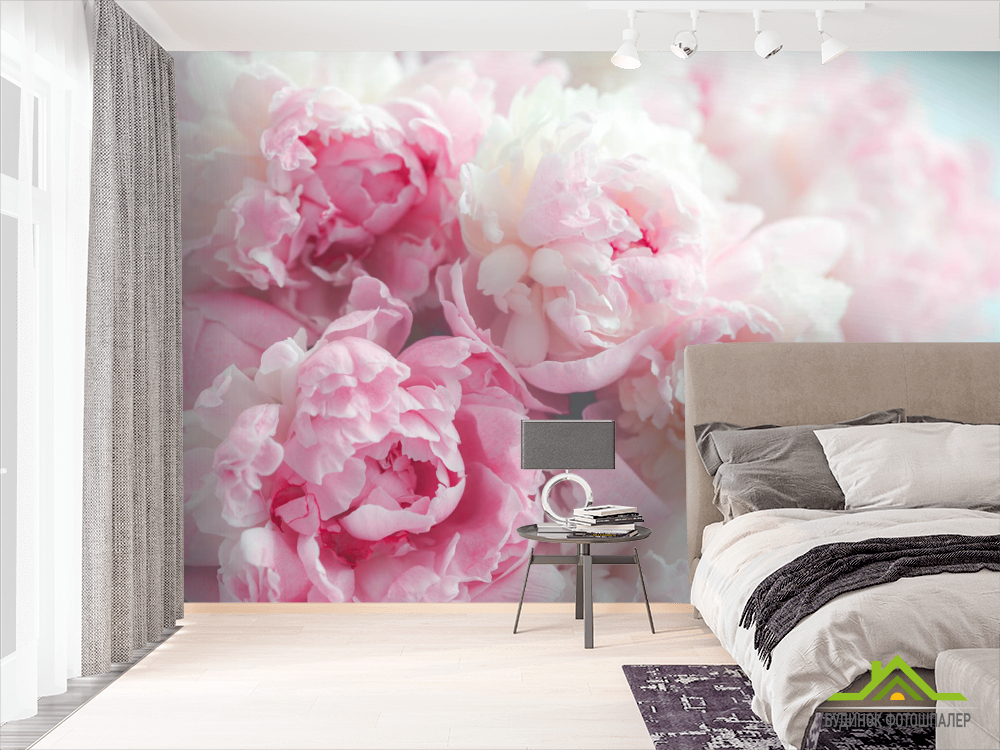 Фотообои Розовые пионы