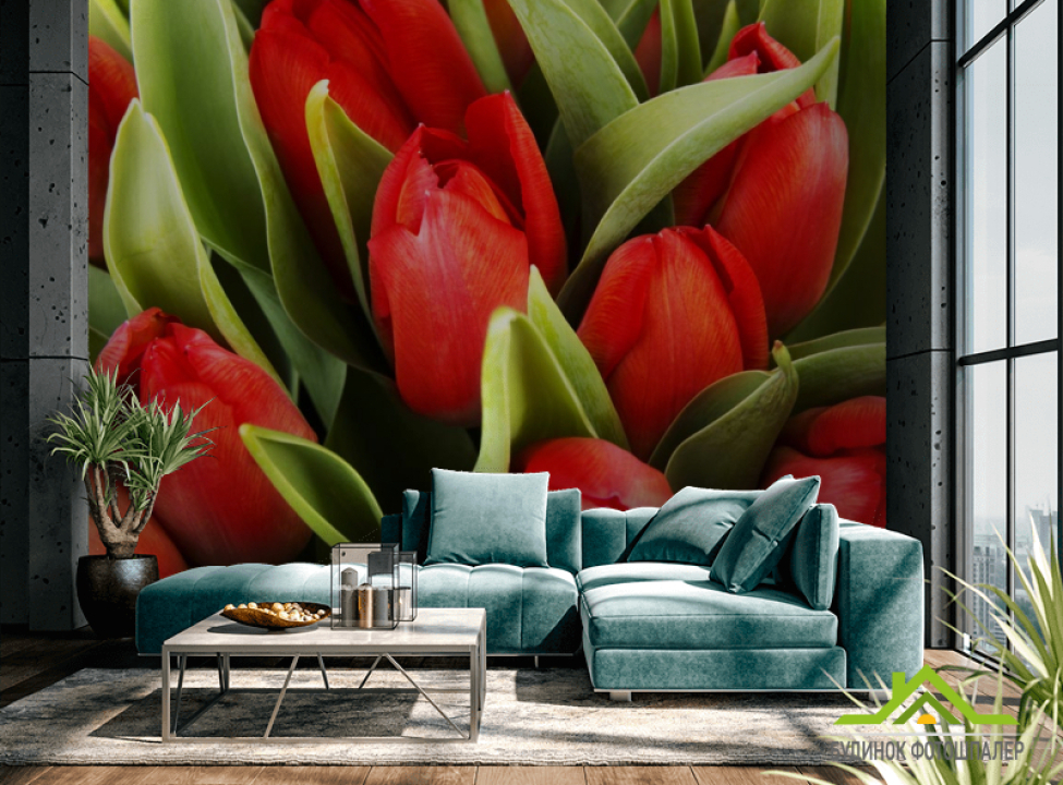 выбрать Фотошпалери червоні тюльпани Фотошпалери Квіти на стіну