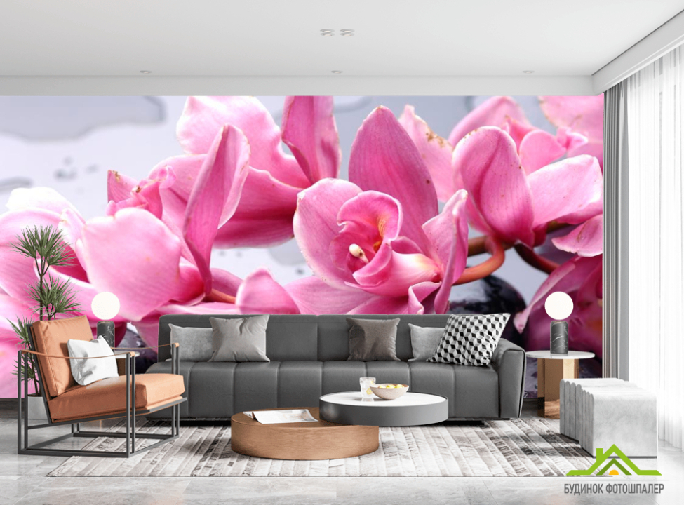 выбрать Фотообои Орхидеи бледно-розовые Фотообои Орхидеи на стену