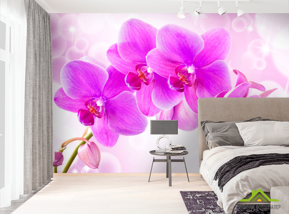 выбрать Фотошпалери Орхідеї Фотошпалери Квіти на стіну