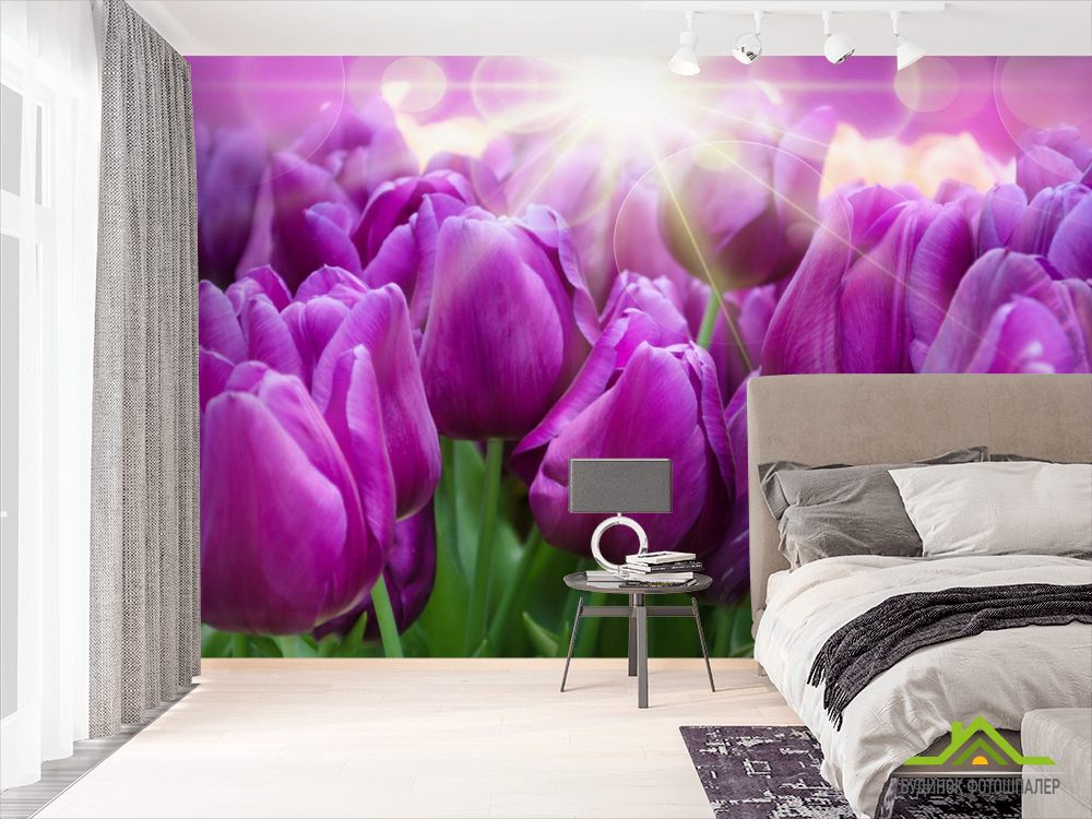 Фотообои фиолетовые тюльпаны