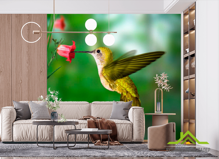 Фотообои Колибри