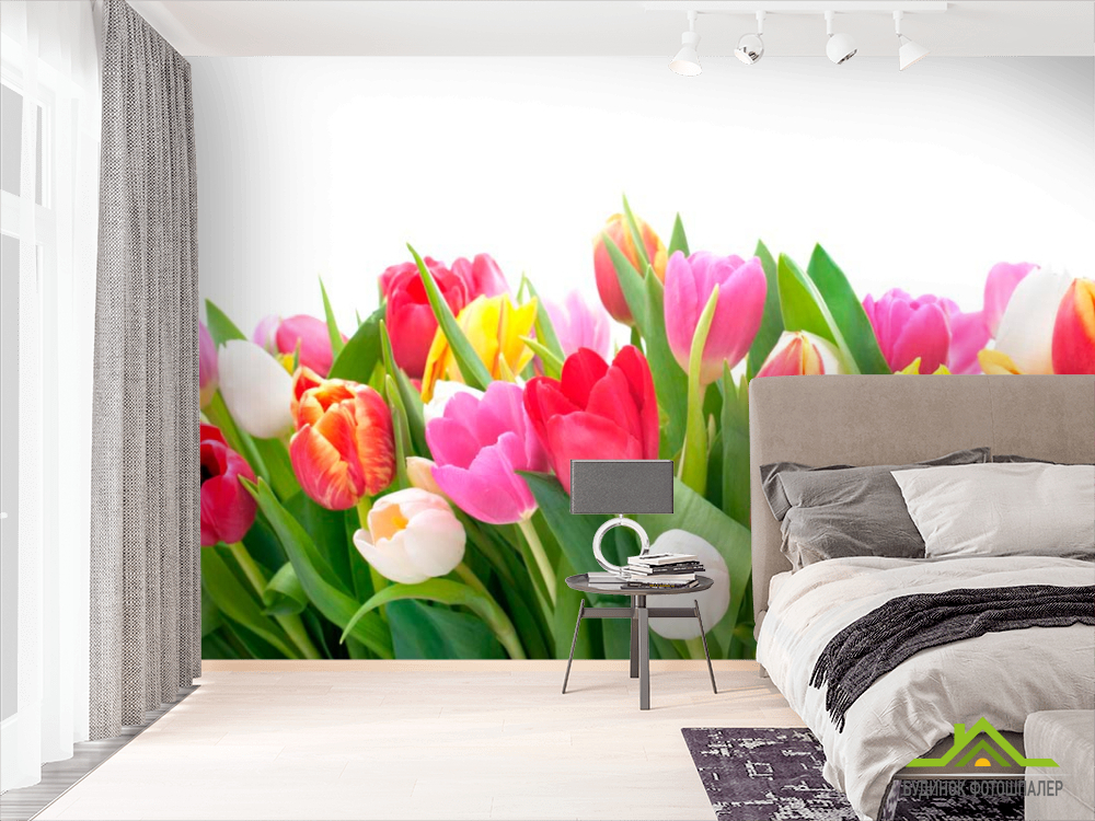 Фотошпалери Тюльпани