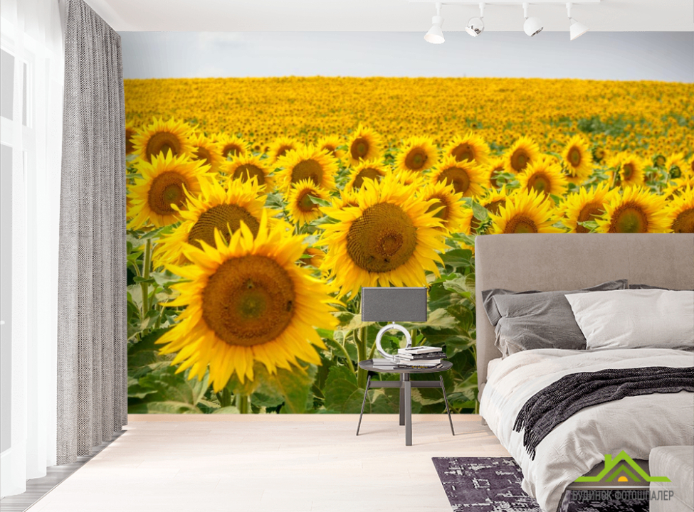 выбрать Фотообои поле с подсолнухами  на стену