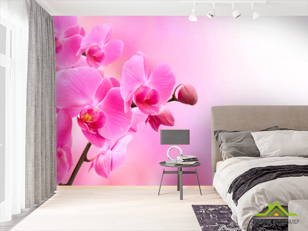 Фотошпалери Орхідеї рожевого відтінку