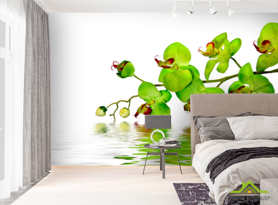 выбрать Фотошпалери Зелені орхідеї Фотошпалери Квіти на стіну