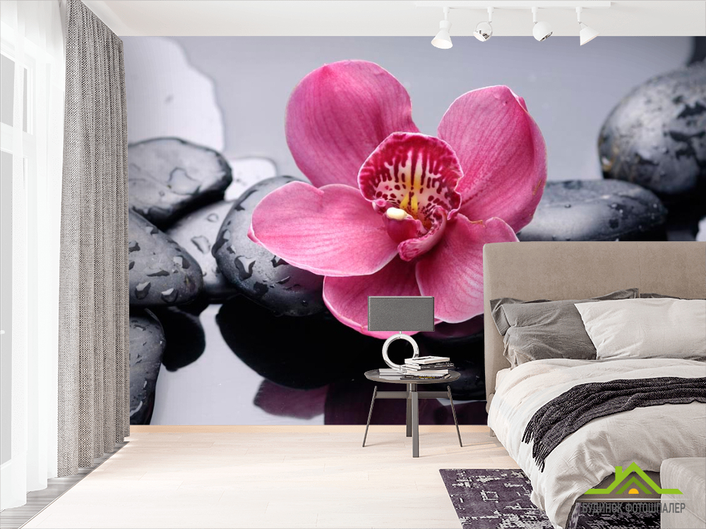 Фотошпалери Фотошпалери Чорні камені, орхідея