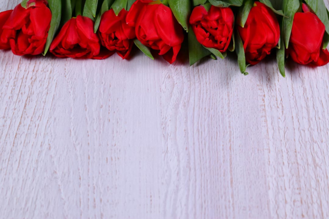 Фотообои красные розы на белом деревянном фоне
