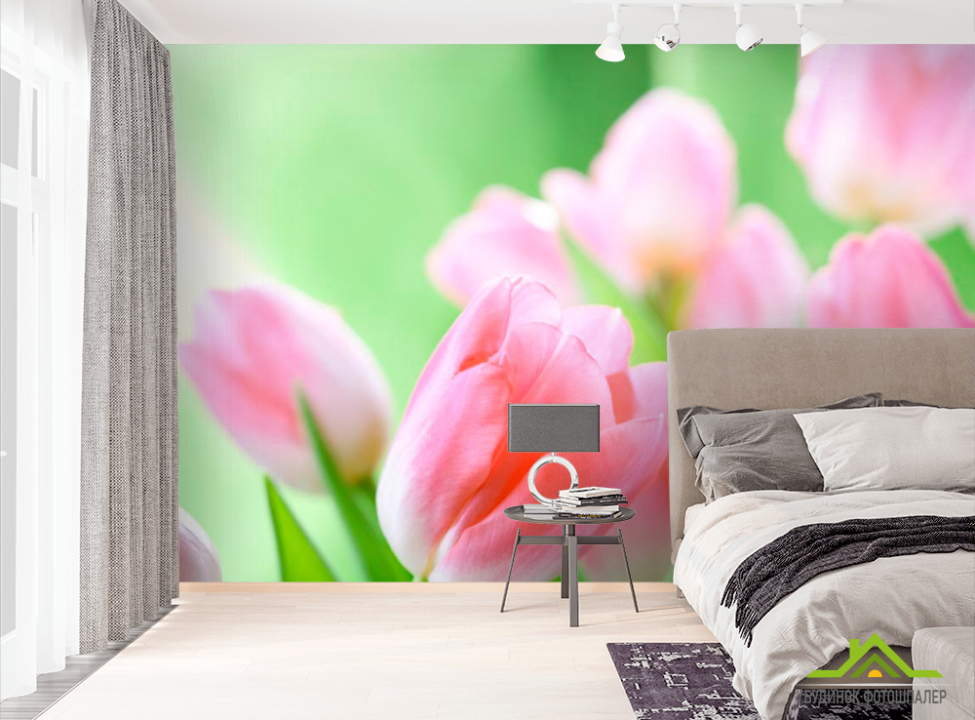 выбрать Фотошпалери Ніжно-рожеві тюльпани Фотошпалери Тюльпани на стіну