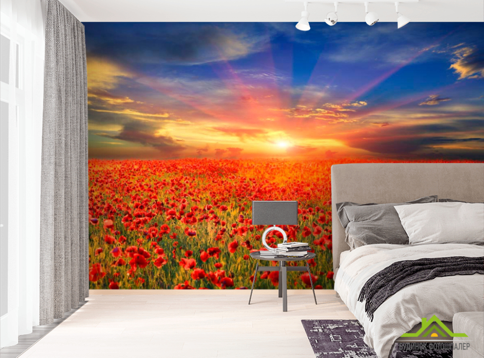 выбрать Фотообои Маки  на стену