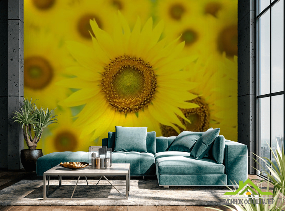 выбрать Фотошпалери великі соняшники Фотошпалери Квіти на стіну