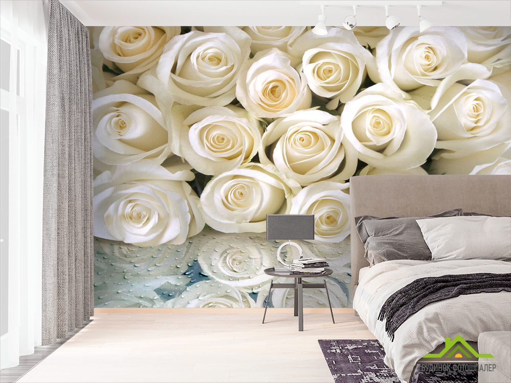 Фотообои Белые розы с росой