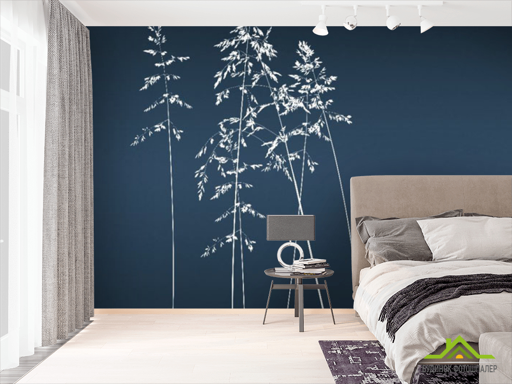 Фотообои Сушеные цветы на синем фоне