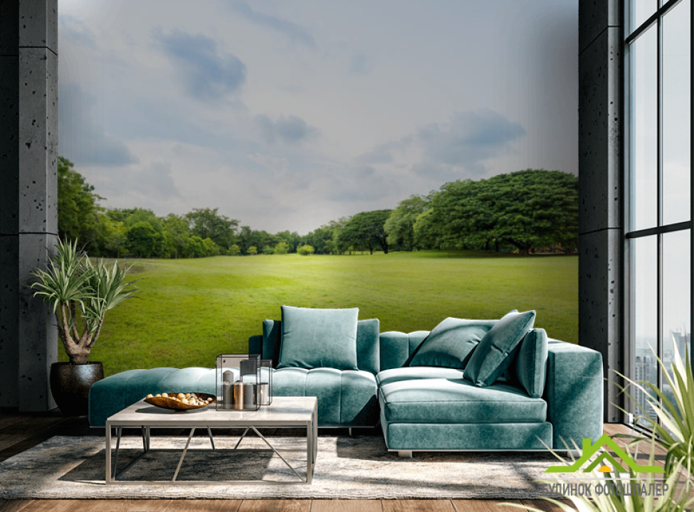 выбрать Фотошпалери поляна Фотошпалери різні на стіну