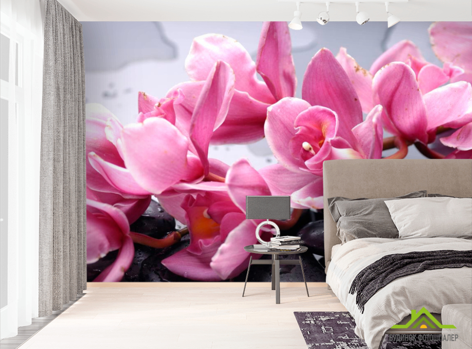 выбрать Фотошпалери Орхідеї блідо-рожеві Фотошпалери Квіти на стіну