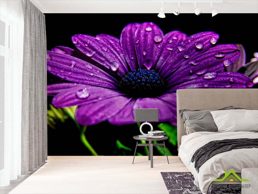 Фотошпалери Фіолетовий квітка