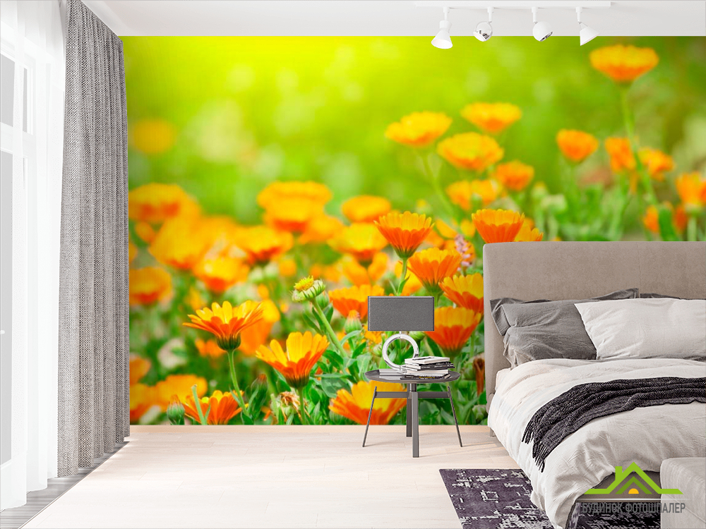 Фотообои Оранжевые чернобривцы