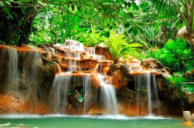 Фотошпалери Джунглі, вода