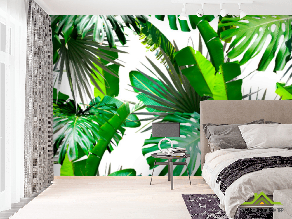 Фотошпалери Тропічні листя