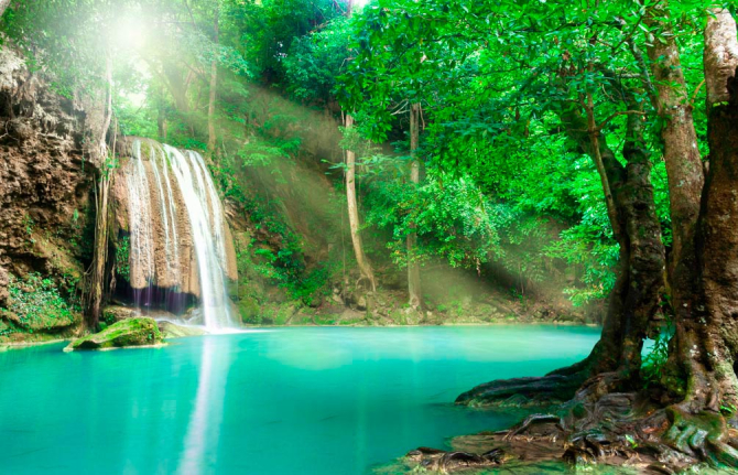 Фотошпалери Спокійна вода, ліс