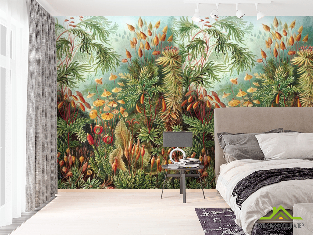 Фотошпалери ліс