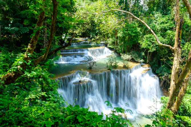 Фотошпалери водоспад серед зелених рослин