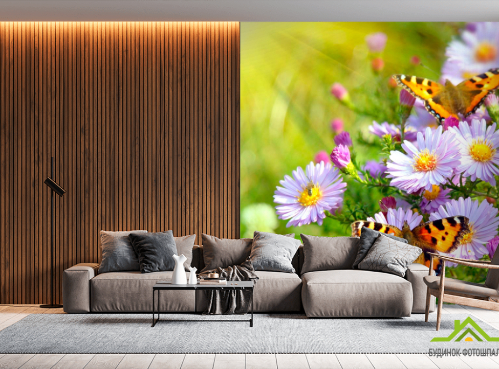 выбрать Фотошпалери Метелики в кольорах Фотошпалери Насікомі на стіну