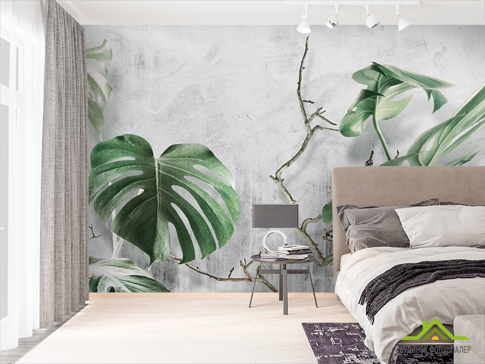 Фотошпалери Листя Монстери