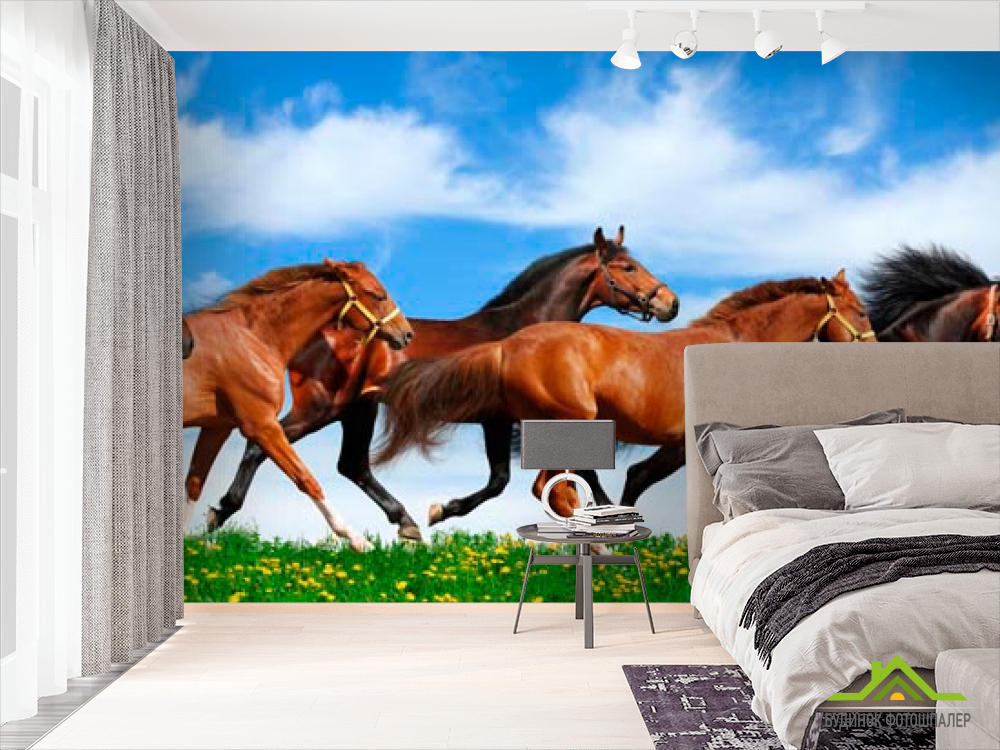 Фотообои Табун бегущих лошадей