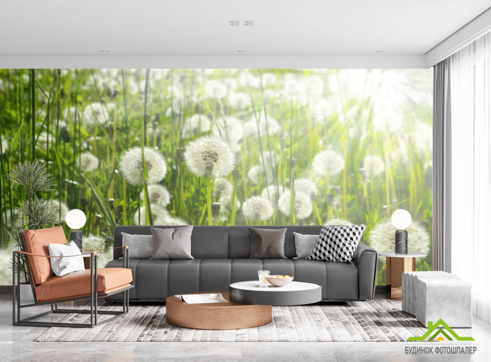 выбрать Фотообои поляна одуванчиков Фотообои Одуванчики на стену